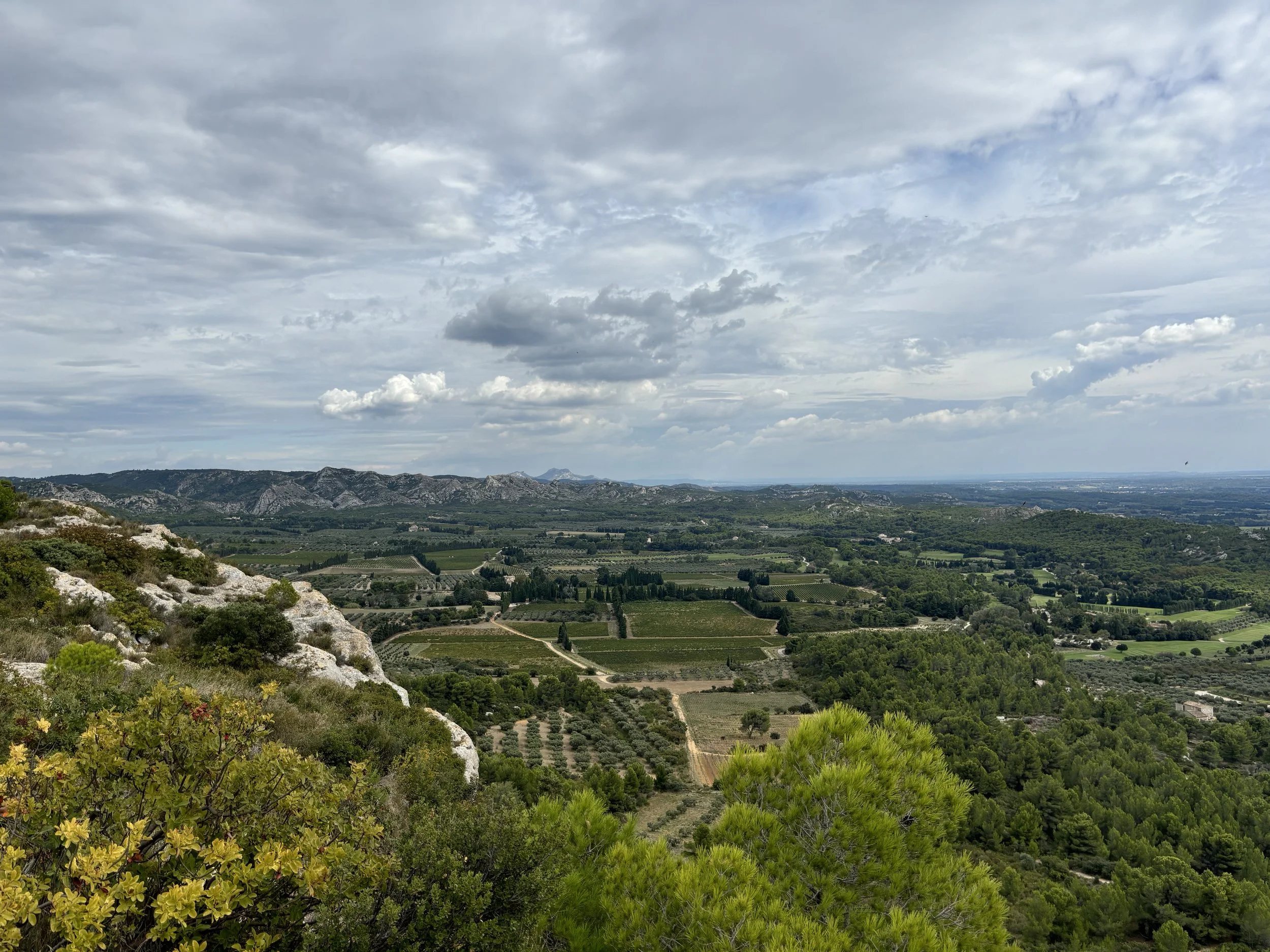 IMG_4573.jpeg