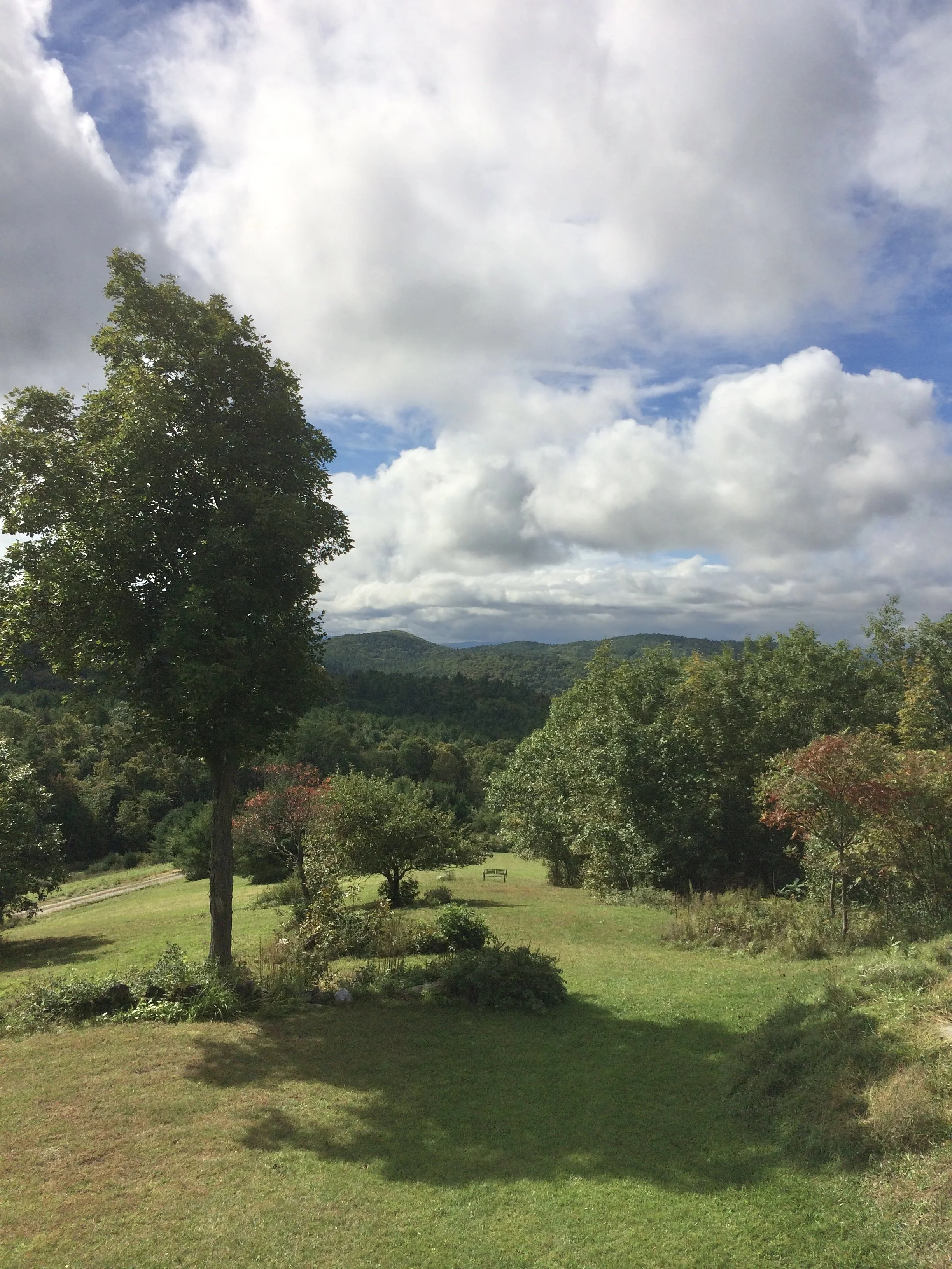 IMG_6416.jpeg