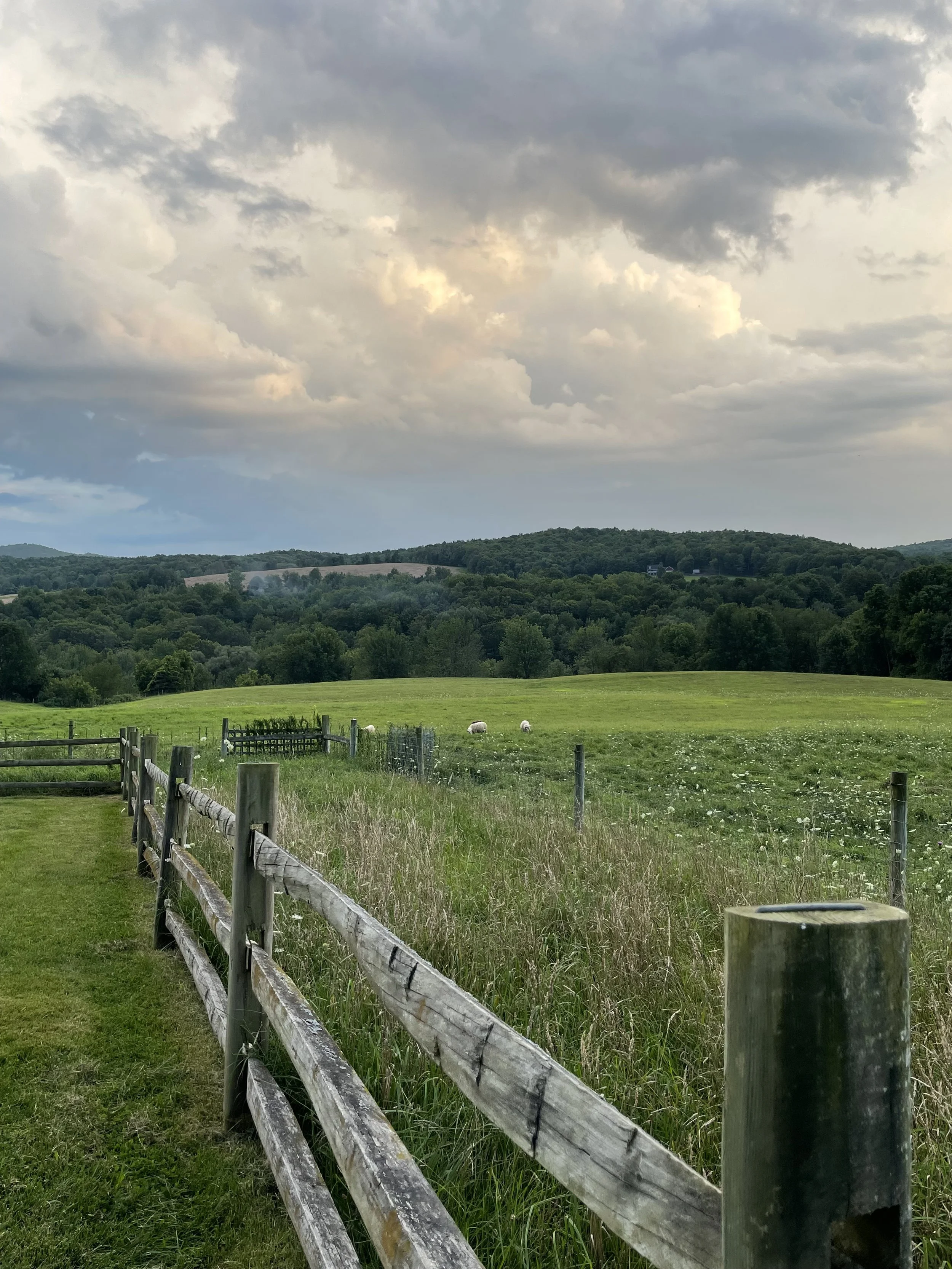 IMG_8479.jpeg