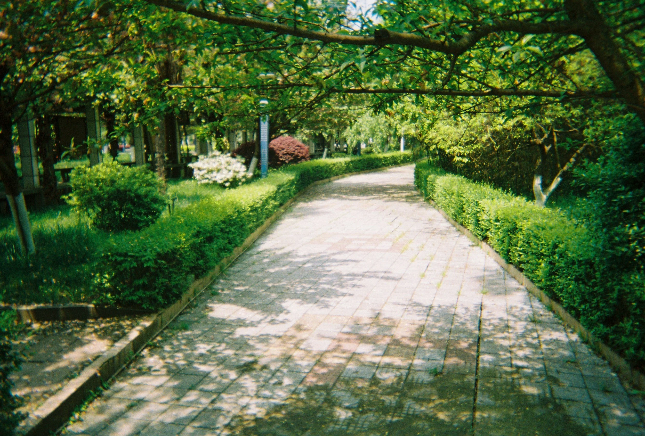 Paver Walkways Nashville