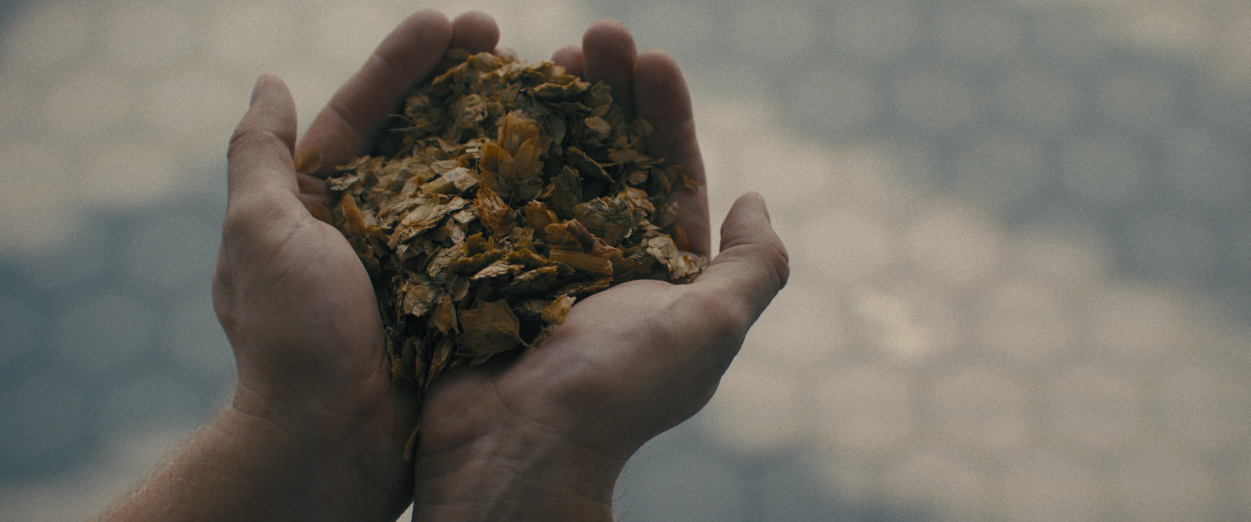 Bildschirmfoto 2026-04-01 um 15.19.53.png