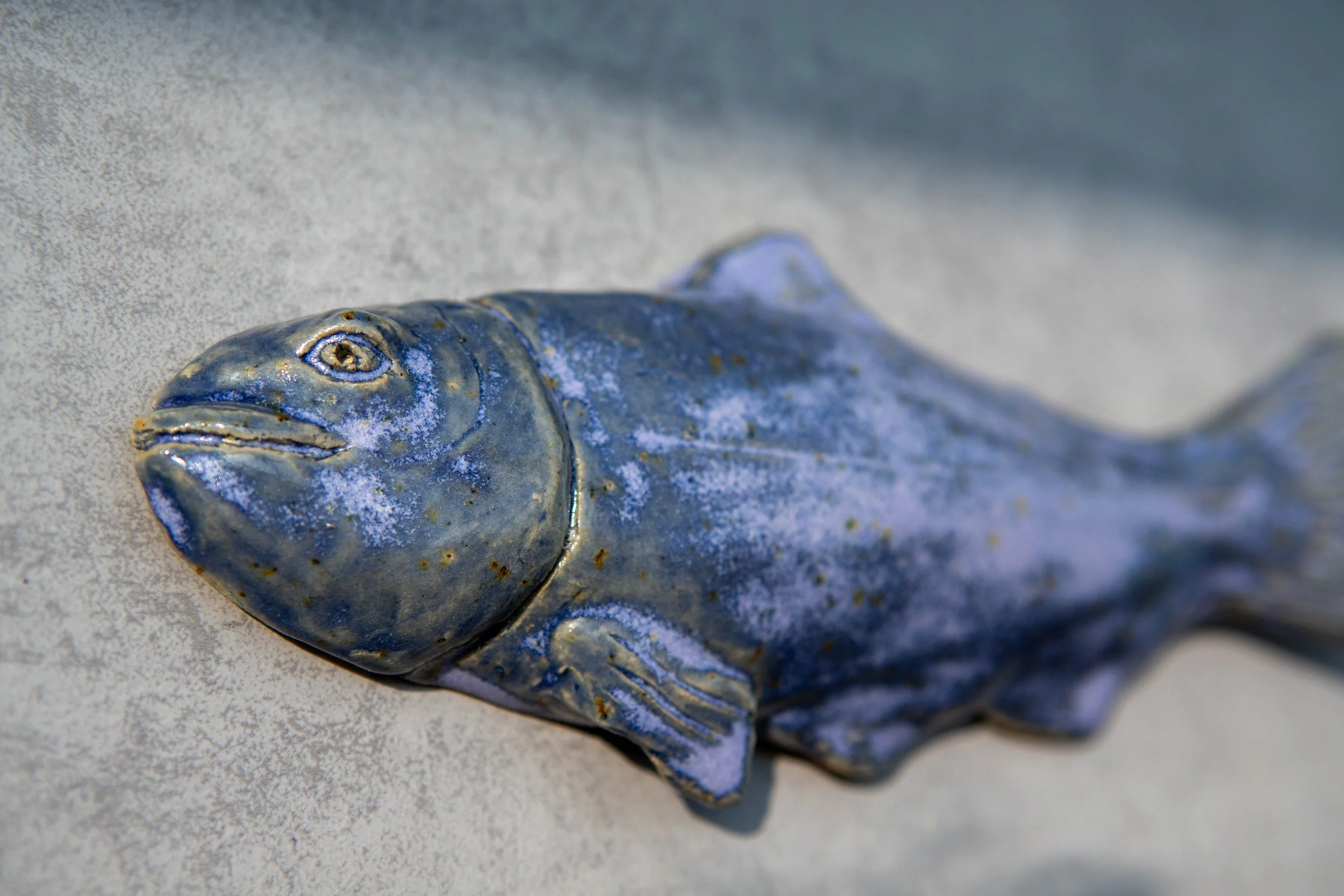 Trout (24 cm)
