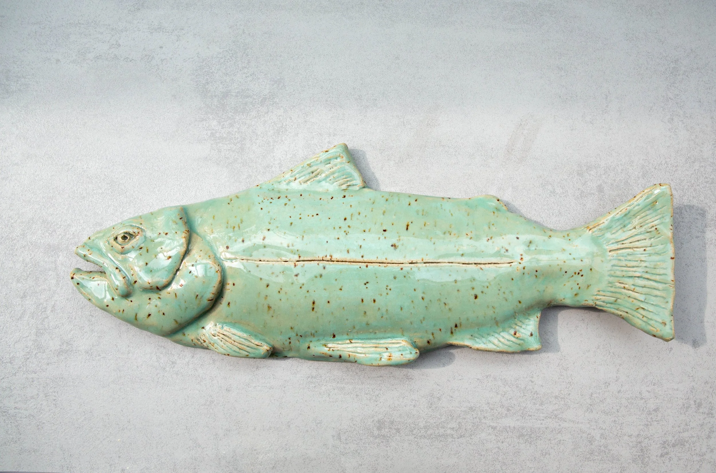 Trout (35 cm)