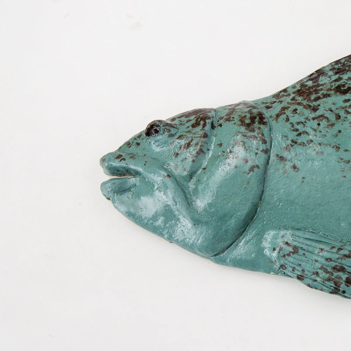 Formosa - Trout - 30cm -code 25CC116