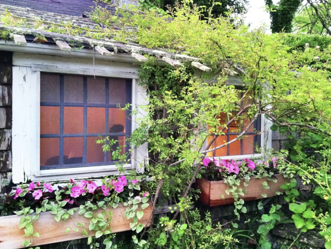 27 Fair Guest Cottage