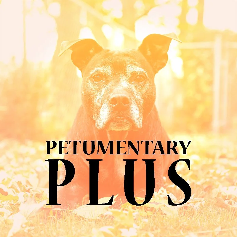 Petumentary Plus