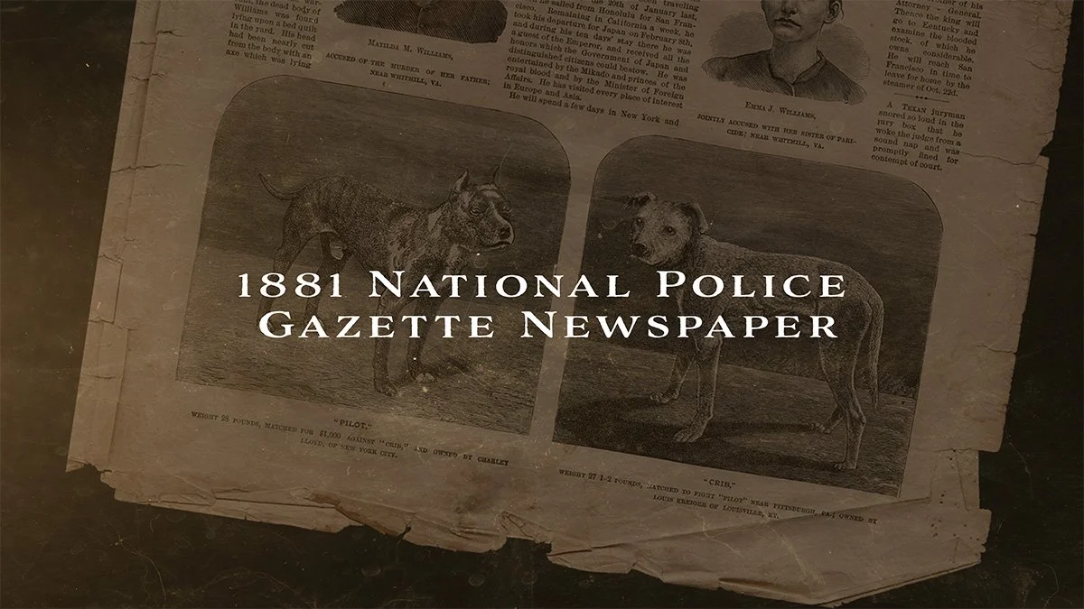 page from national police gazette of famous dogfighting match in 1881