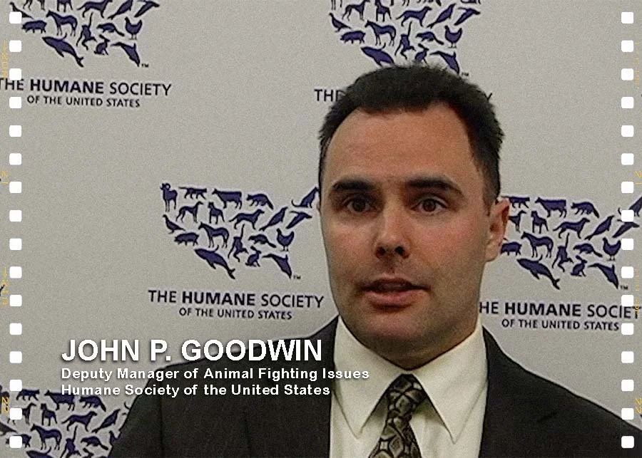 John P. Goodwin | Deputy Manager of Animal Fighting Issues