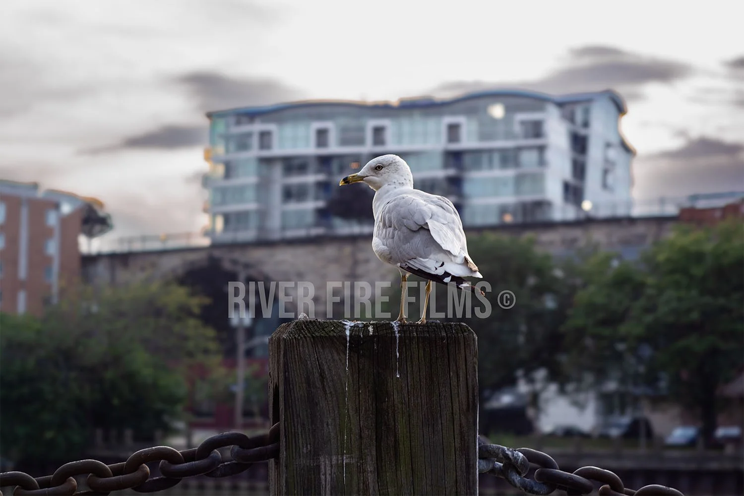 Cuyahoga River - Cleveland, OH (9/3/2015)
