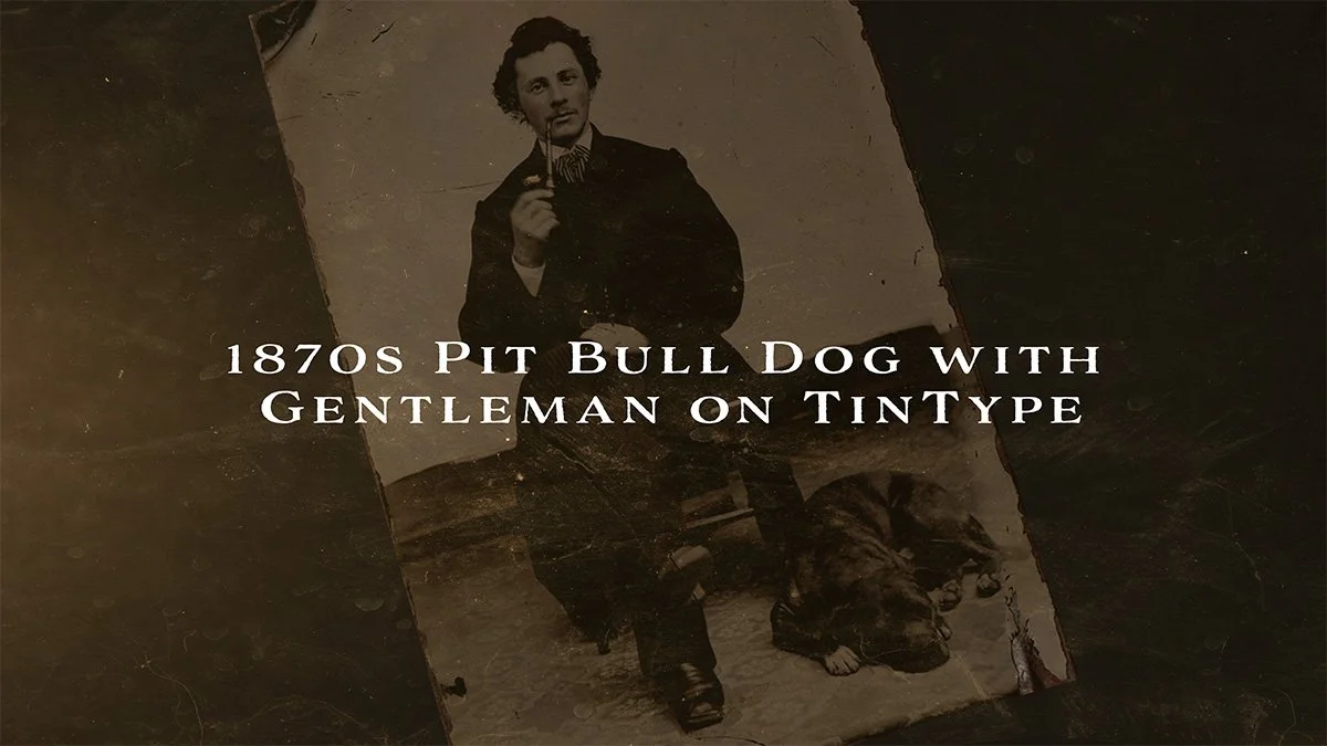 pit bull dog laying at the feet of pipe smoking gentleman post civil war