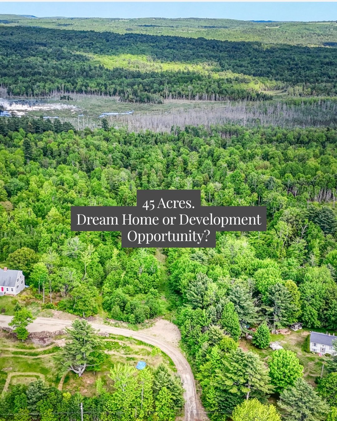 What would you do with 45 acres?

Build your dream home talked back from the road of plenty of privacy?

Create a family compound where everyone has been spread out?

Or explore the potential for future development?

One of my favorite things about t