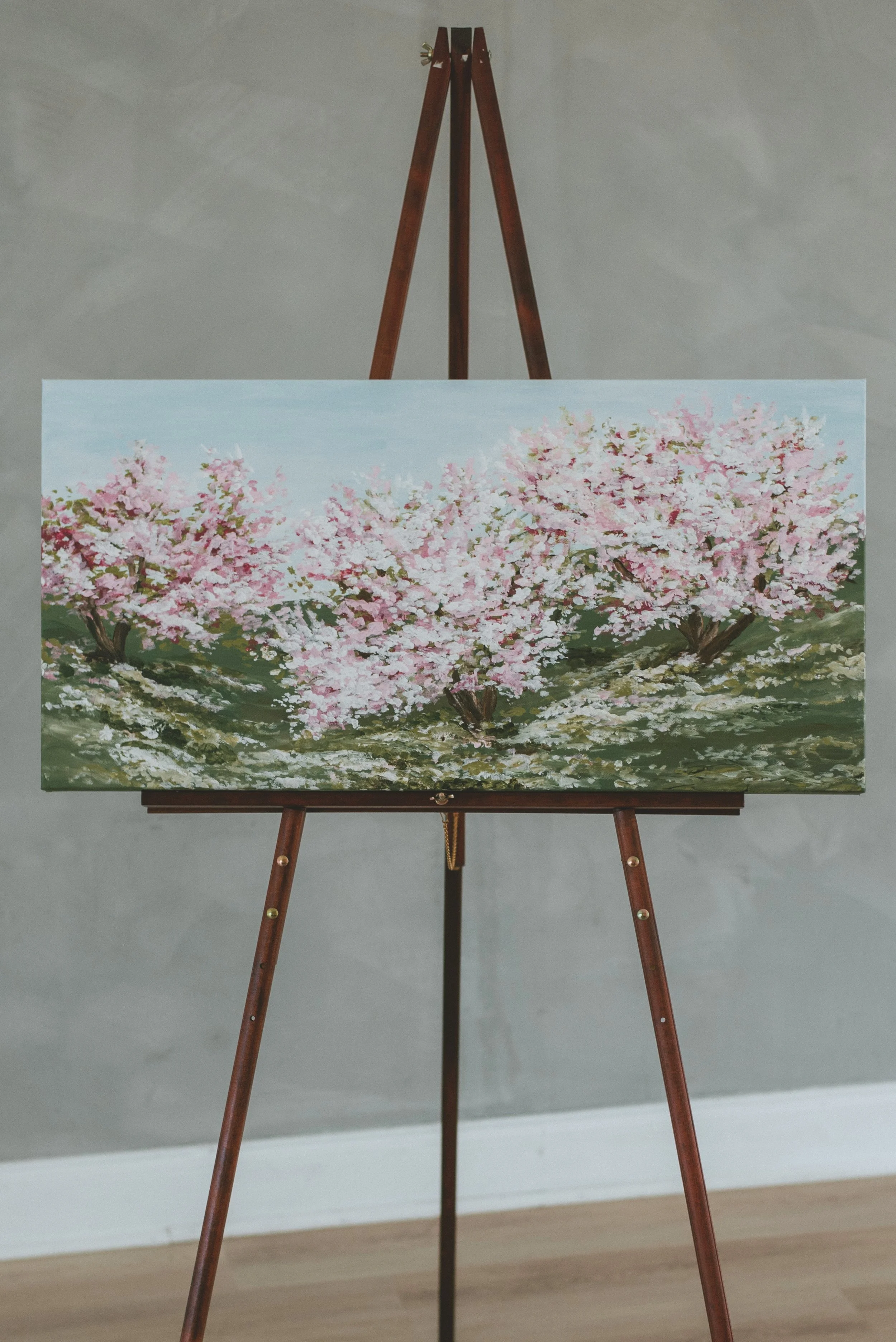 Cherry Blossoms