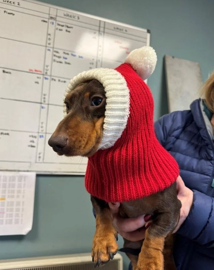 Basil would like to wish all of our customers &amp; suppliers a very Merry Christmas &amp; a Happy New Year! 🎅🎄 

He says we will close for the holidays at 12pm on Friday 20th December &amp; re-open Thursday 2nd January at 7:30am.

#miningindustry 