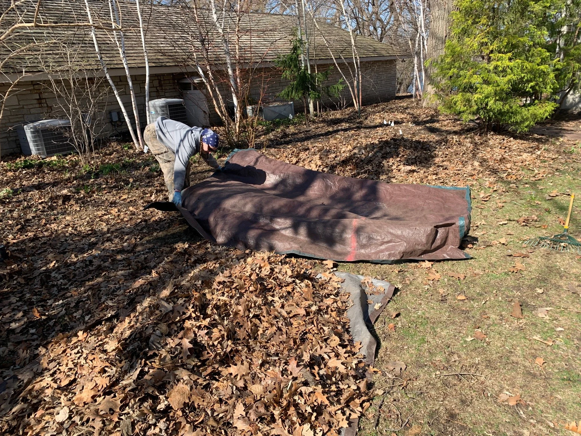 Relishing Spring Cleanup