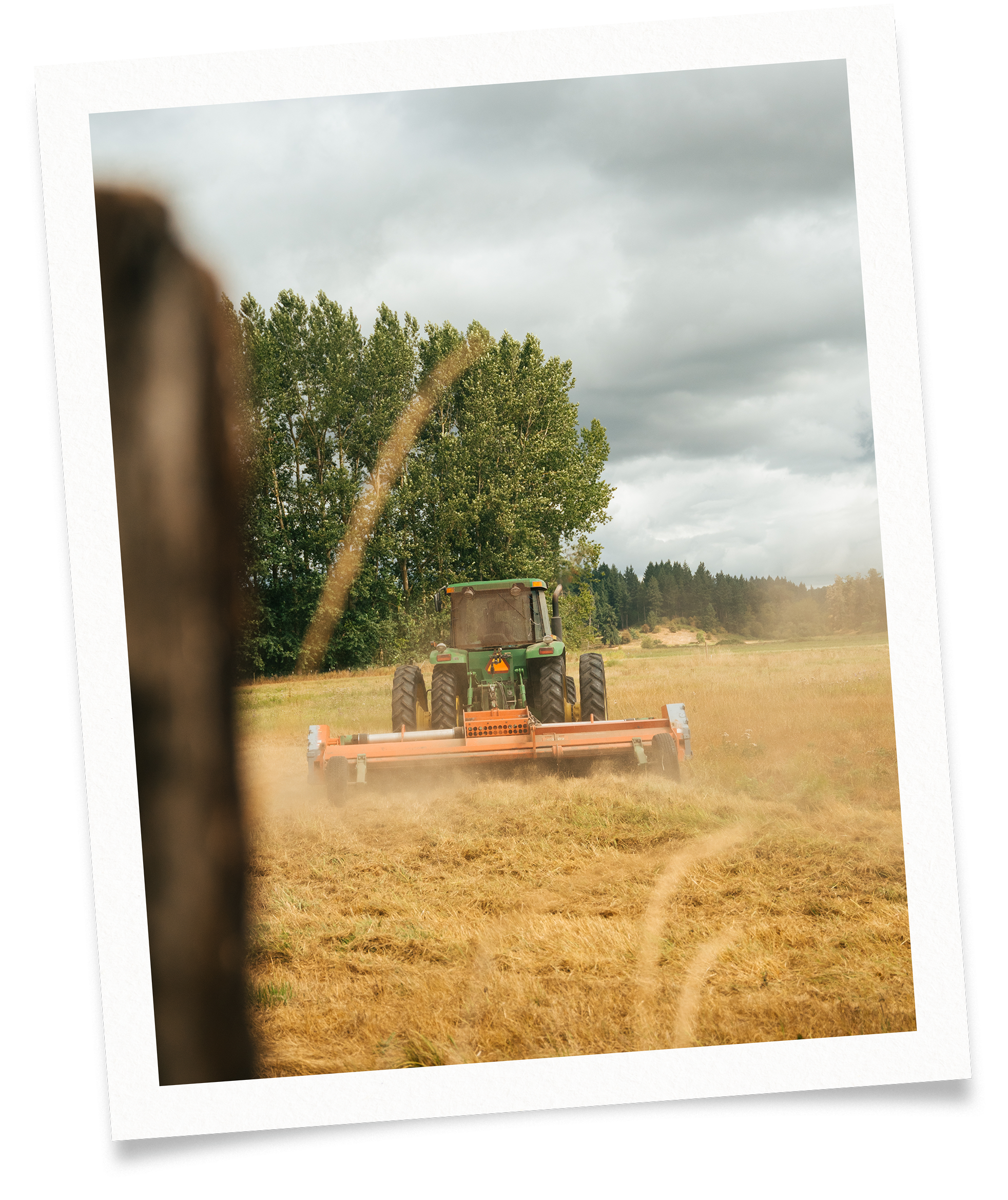 Tractor tilling a hay field at Wilcox Farms, preparing pasture land for sustainable farming.