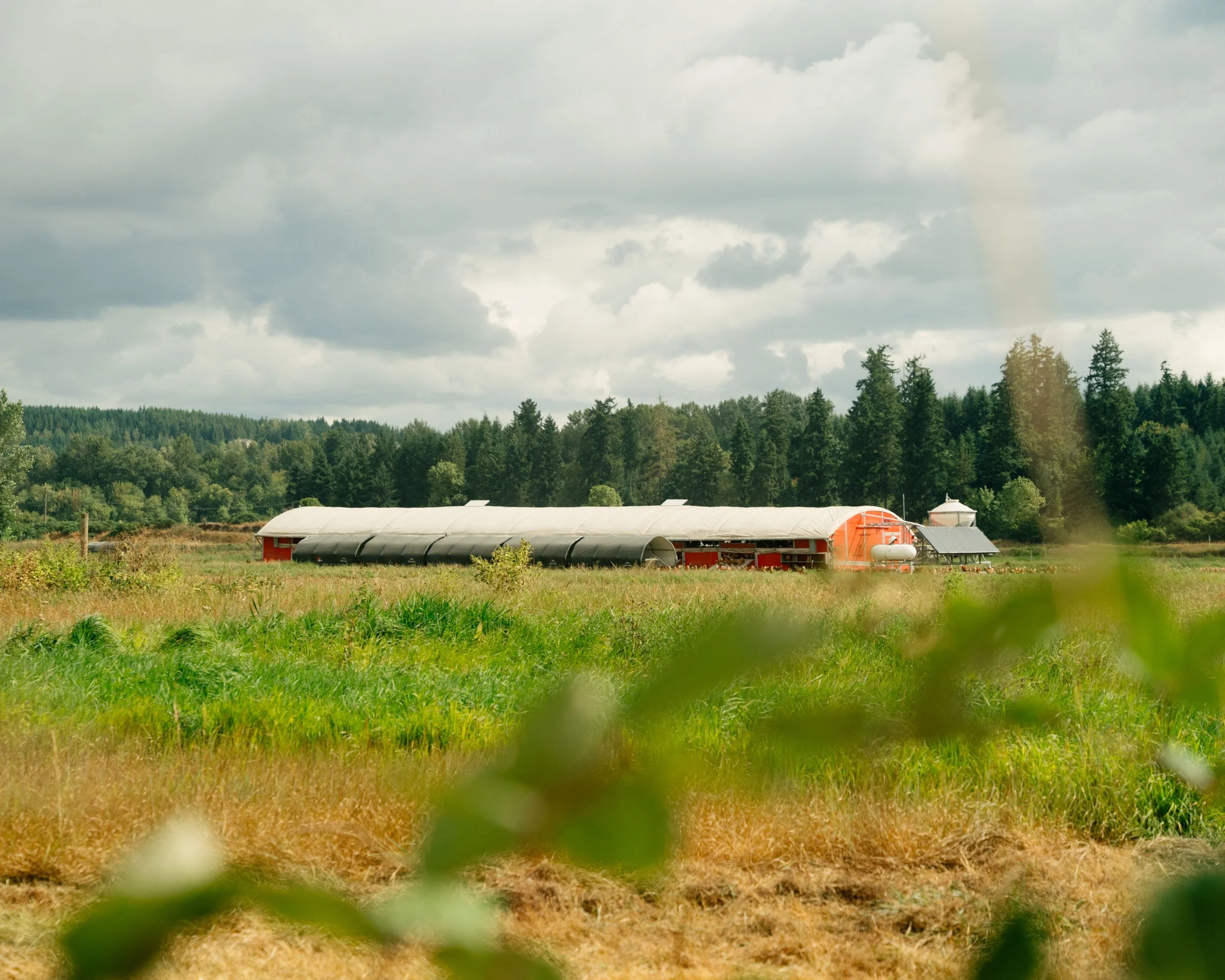 A farm surrounded by green fields and trees under a cloudy sky, with a rainbow faintly visible in the background.