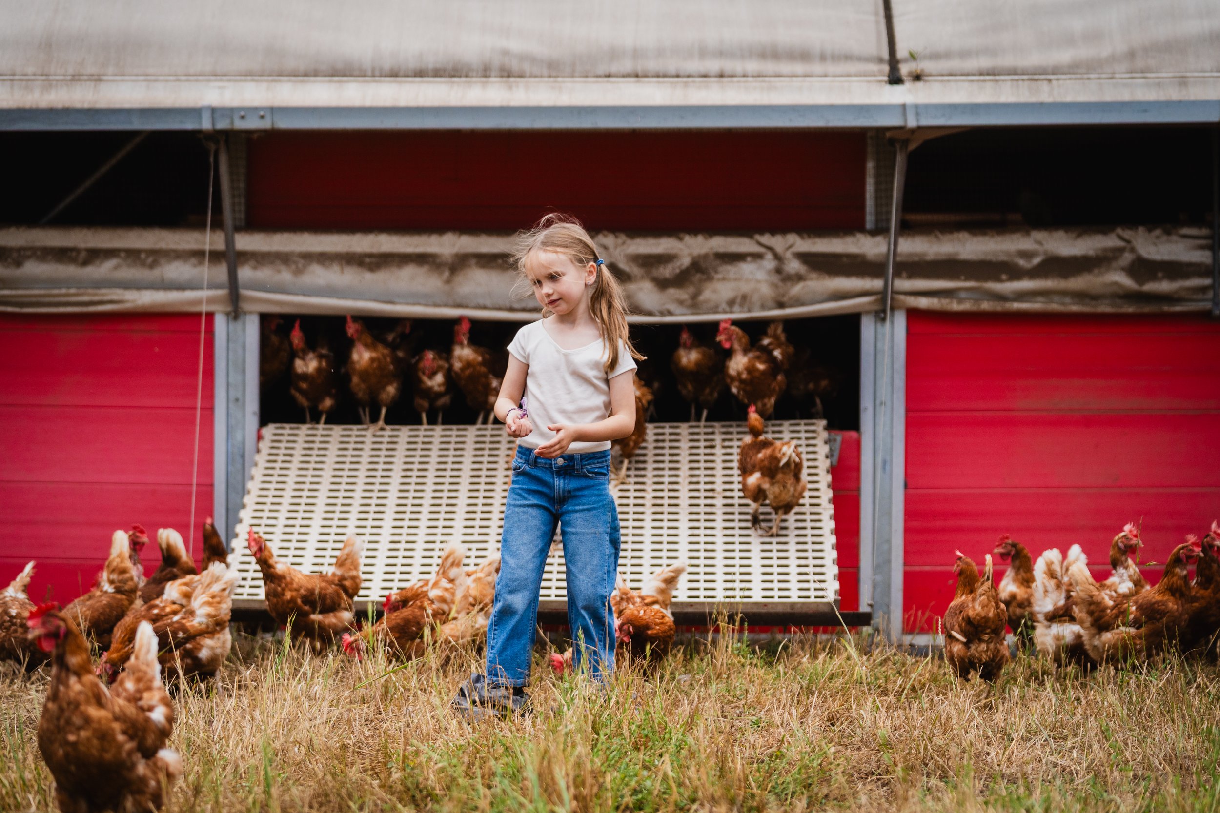 A young girl standing in front of a chicken coop with chickens roaming around on the grass.