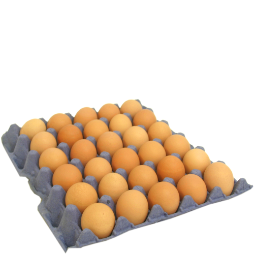 Pasture Raised Medium Brown — Shell Eggs