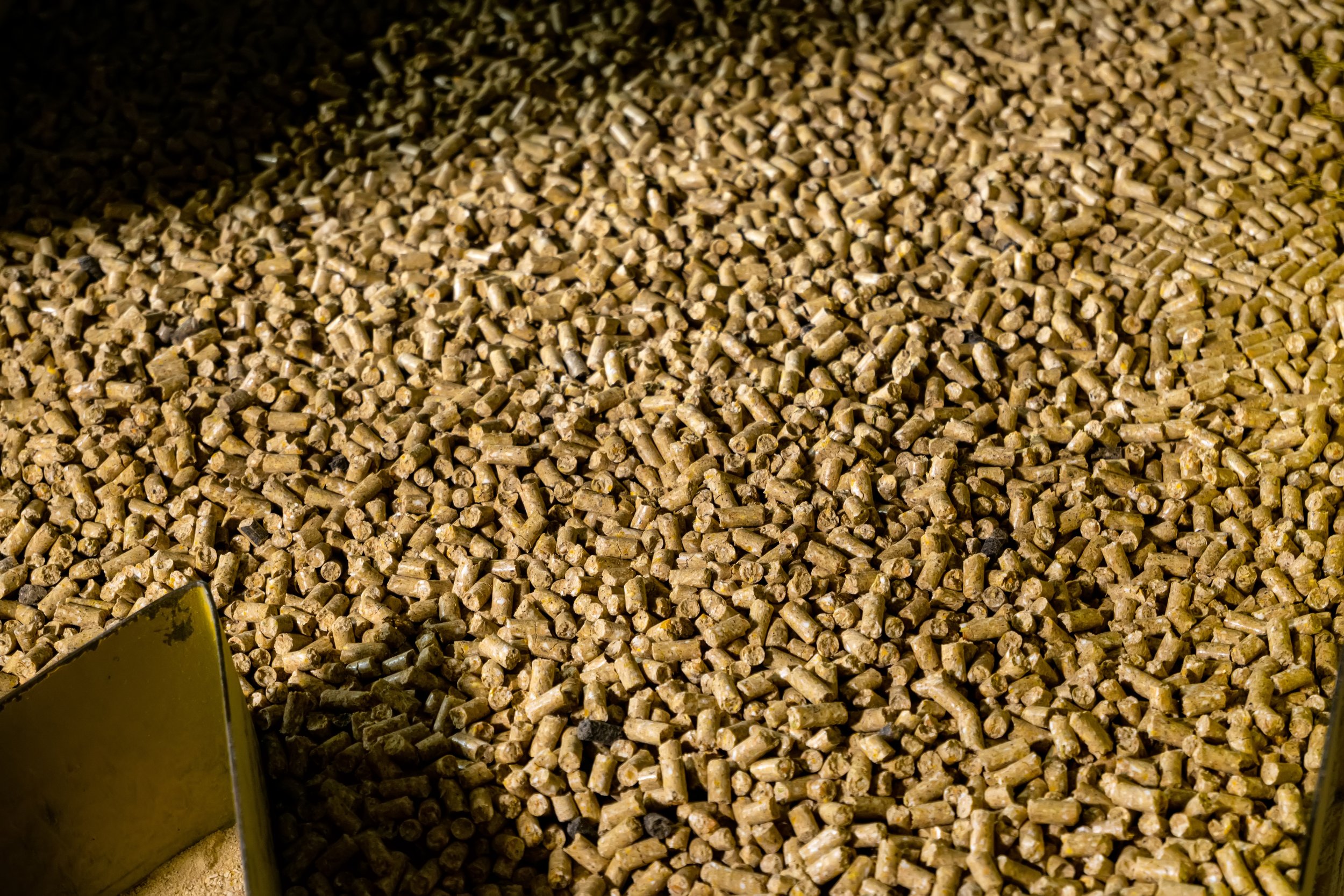 A close-up view of a large amount of small, cylindrical animal feed pellets, with a metal container partially visible at the bottom left corner.