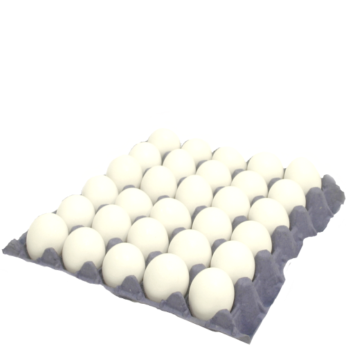 Free Range Large White — Shell Eggs