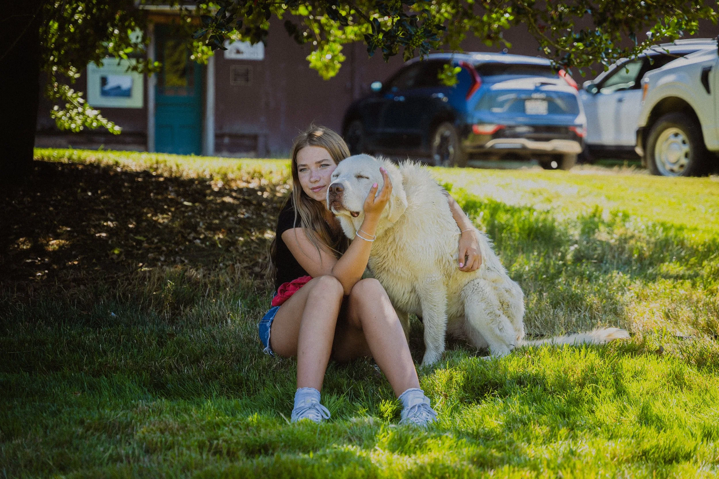 A young girl sitting on the grass under a tree, hugging a large white dog with one eye closed in a peaceful outdoor setting.