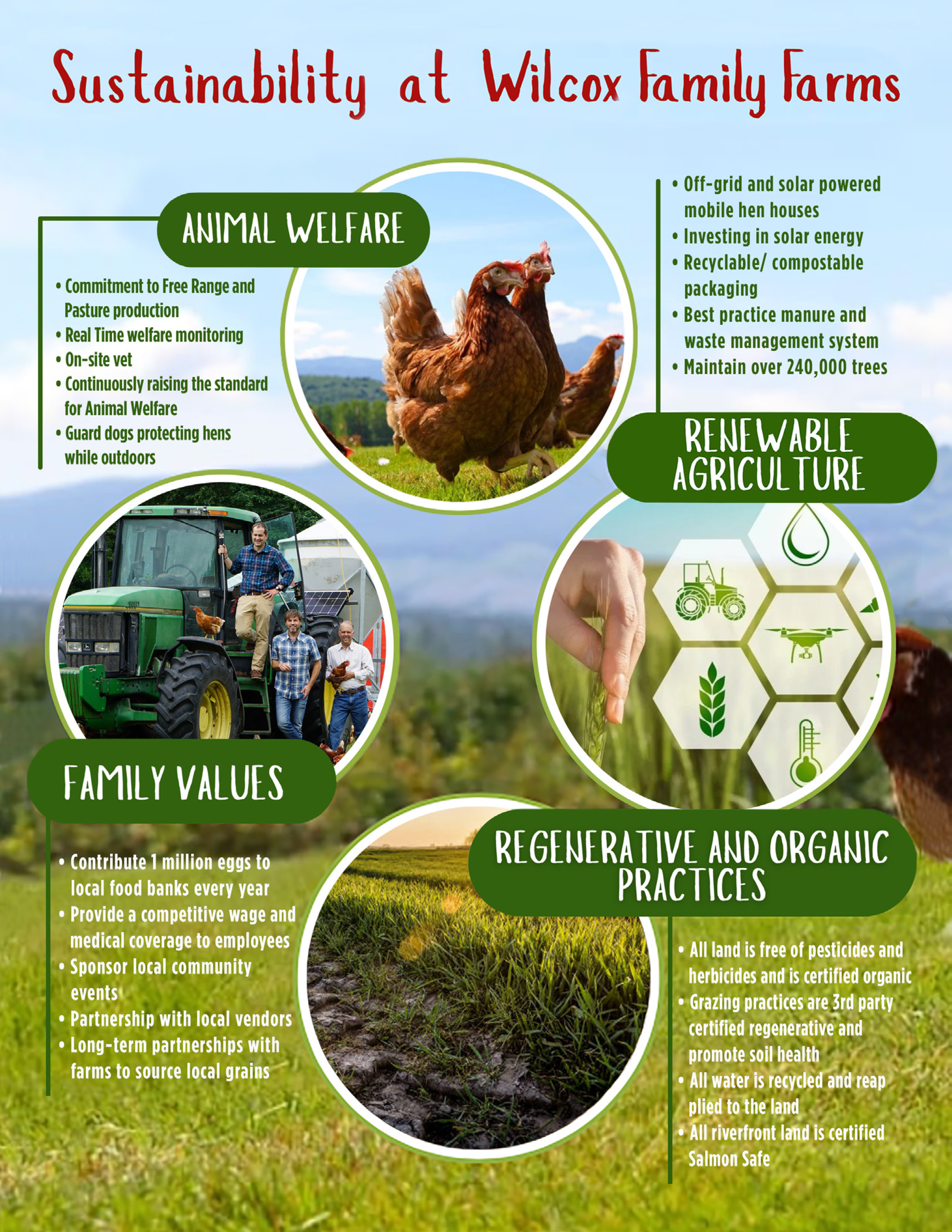 Poster titled 'Sustainability at Wilcox Family Farms' with sections on Animal Welfare, Renewable Agriculture, Family Values, and Regenerative and Organic Practices, featuring images of chickens, a tractor, a farm field, and farmers.