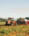 Our Roots — Wilcox Family Farms | Since 1909