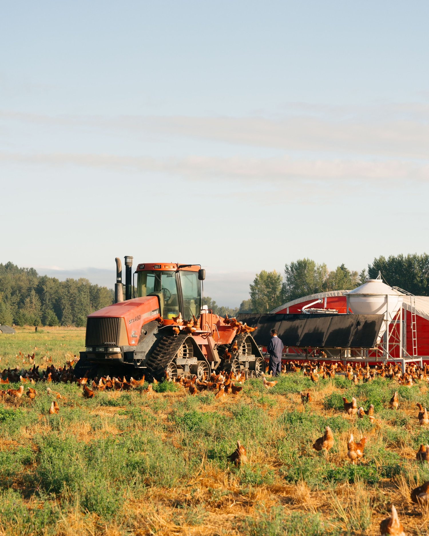 Our Roots — Wilcox Family Farms | Since 1909