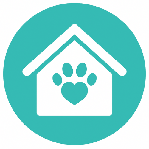 Home-style dog boarding with personalized care in the Texas Hill Country.