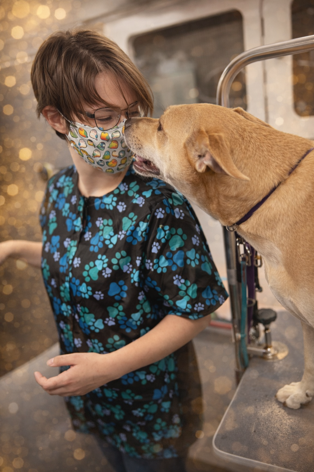 Certified groomer providing stress-free mobile dog grooming in Boerne and Helotes, Texas.