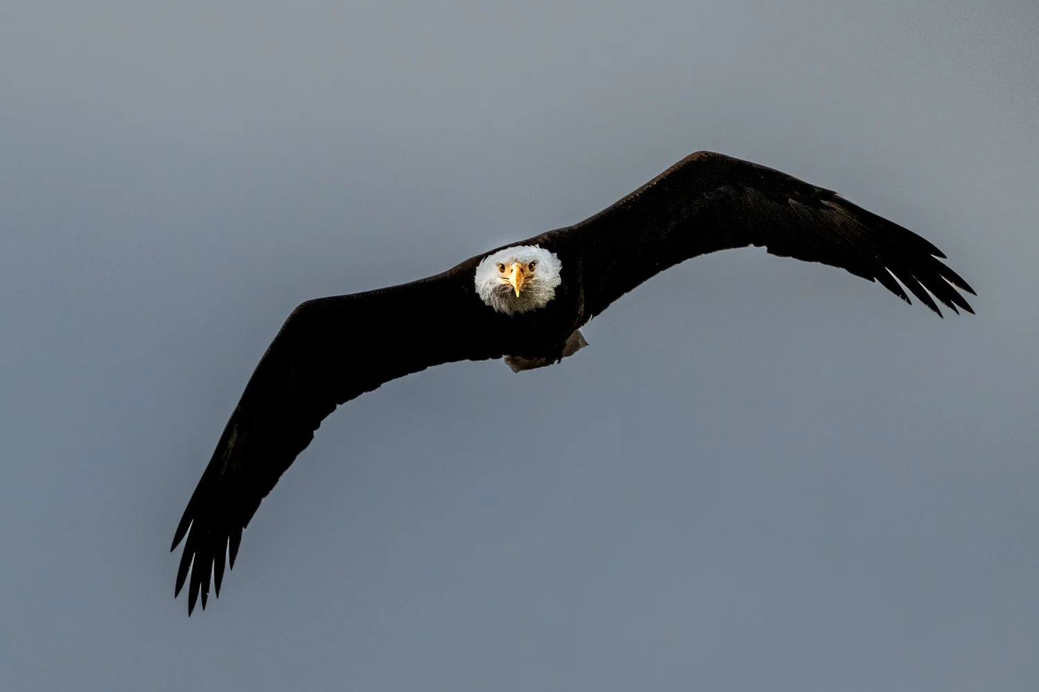 0Z8_6547-Edit.jpg