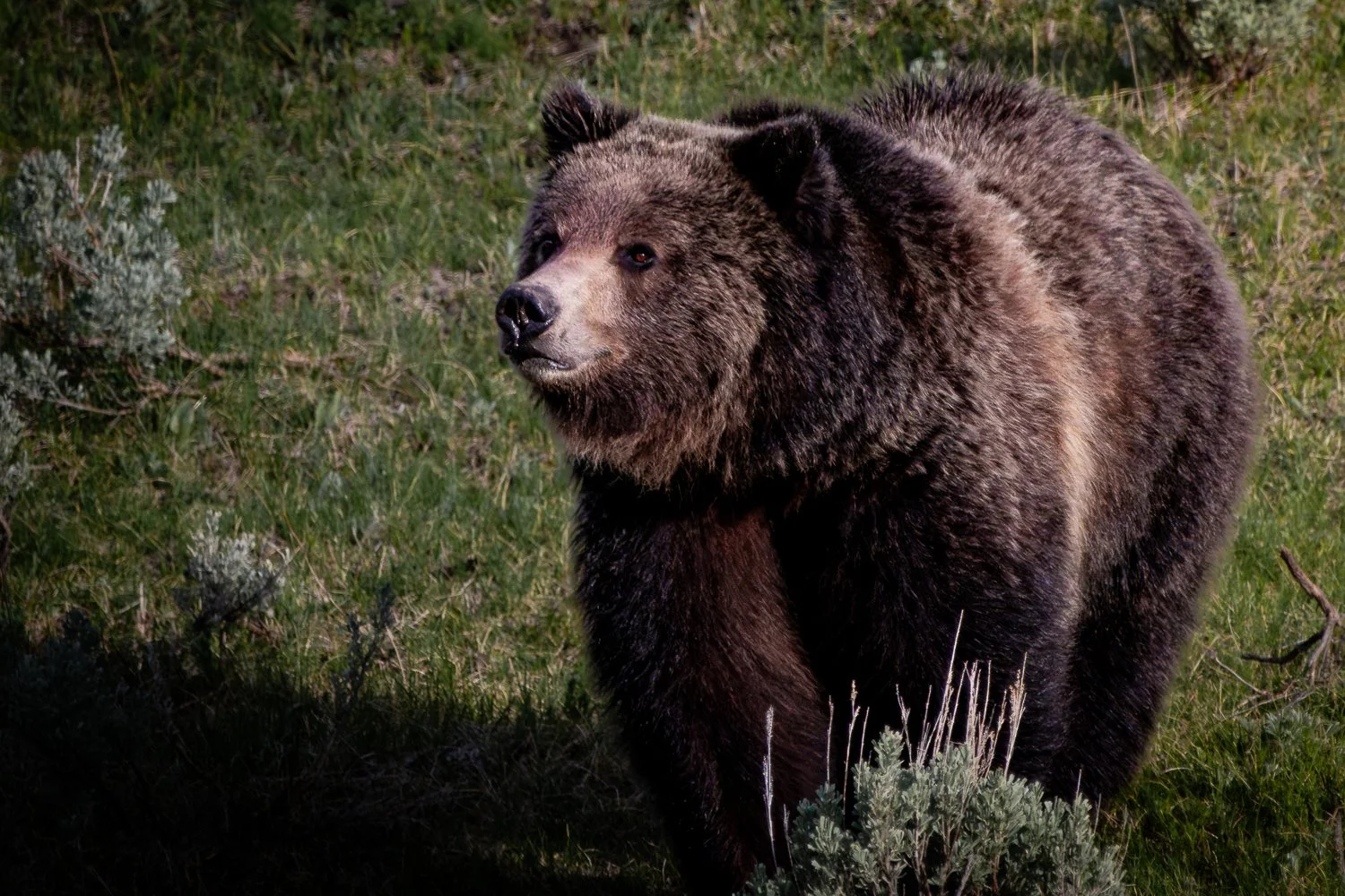 0Z8_4602-Enhanced-NR-Edit.jpg