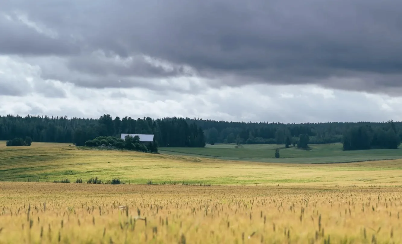 I&rsquo;ve often driven past this area and always found the view beautiful.

I never had my camera, the time, or the right light to stop.

One day, I decided to grab my camera and just as I arrived, the sunlight broke through while dark clouds covere