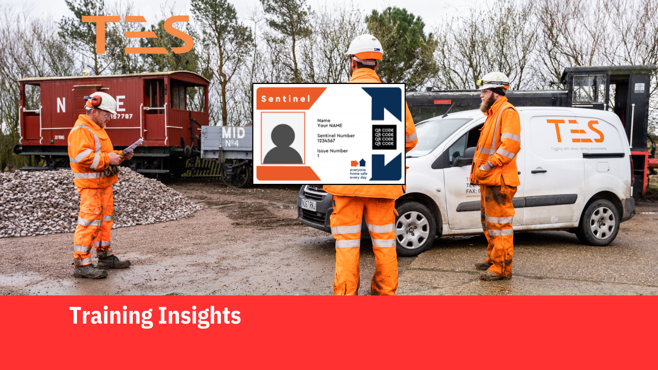 Training Insights