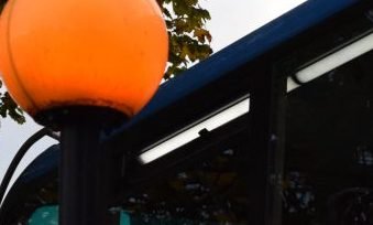 Close-up of an orange spherical streetlamp mounted on a black pole with tree branches and sky in the background.