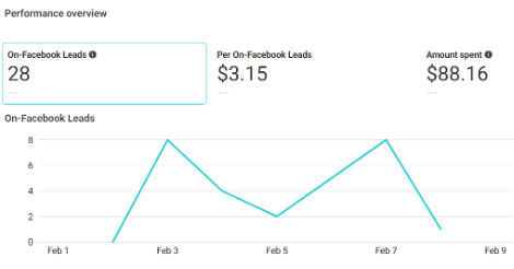Performance overview chart showing Facebook lead statistics from February 1 to February 9, including number of leads, cost per lead, and amount spent, with a line graph illustrating fluctuations.