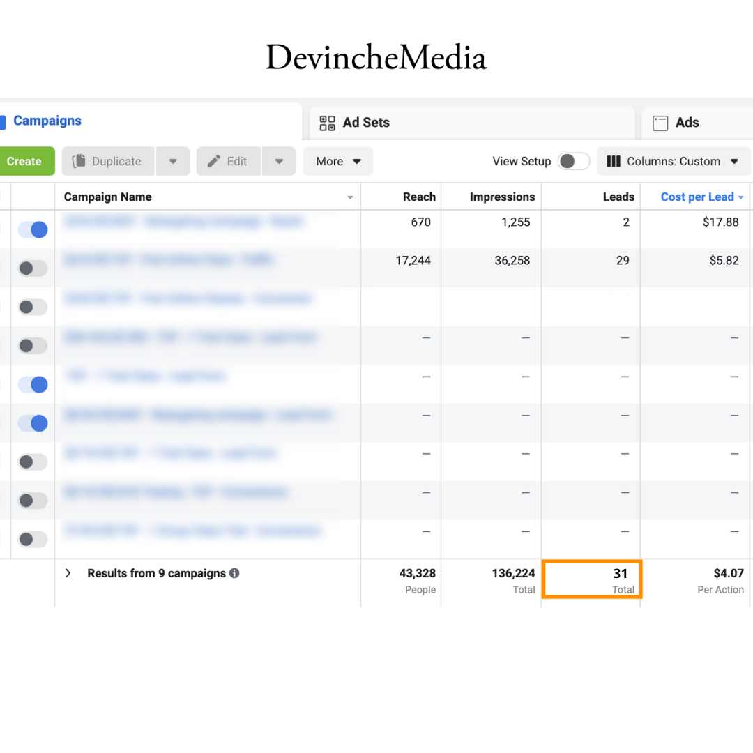 Screenshot of digital marketing campaign dashboard showing campaign data such as reach, impressions, leads, and cost per lead, with a total of 31 leads.