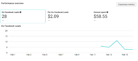 Performance overview chart showing Facebook lead metrics from February 1 to February 15, including on-Facebook leads (28), cost per lead ($2.09), total amount spent ($58.55), and daily lead data with a spike around February 13.
