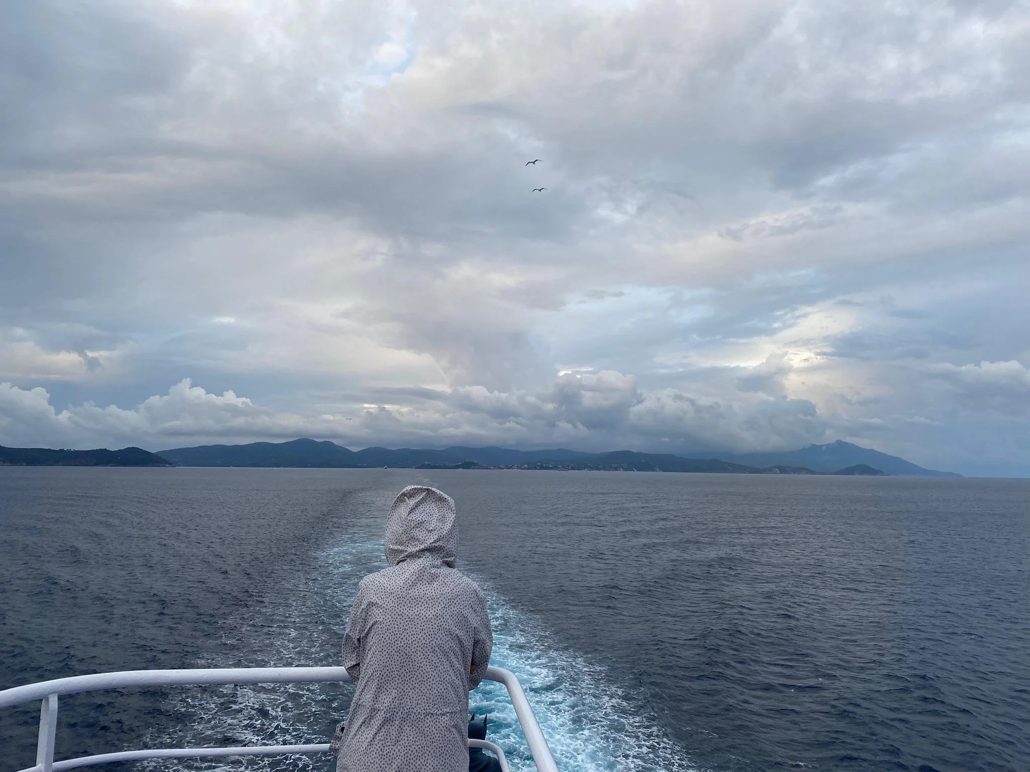 Photo of a person in a grey raincoat with their back facing the camera standing on a ferry and looking out over the sea with mountains visible on the horizon, a cloudy sky above and two seagulls flying overhead