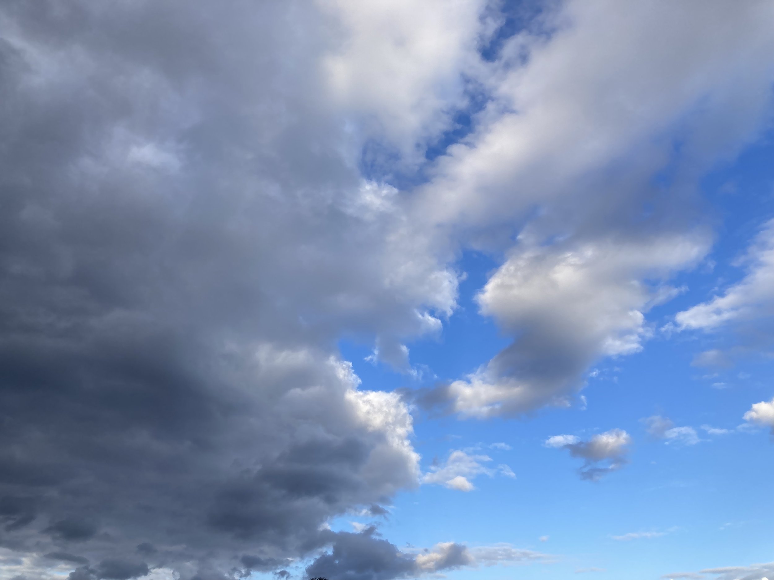 Being trapped and liberated at the same time