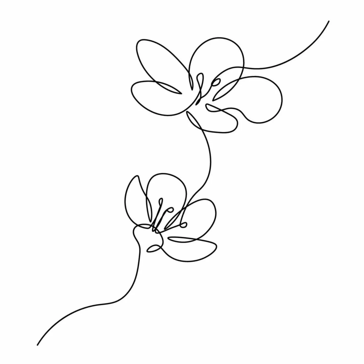 Black and white illustration of two orchids in one single line by farida89