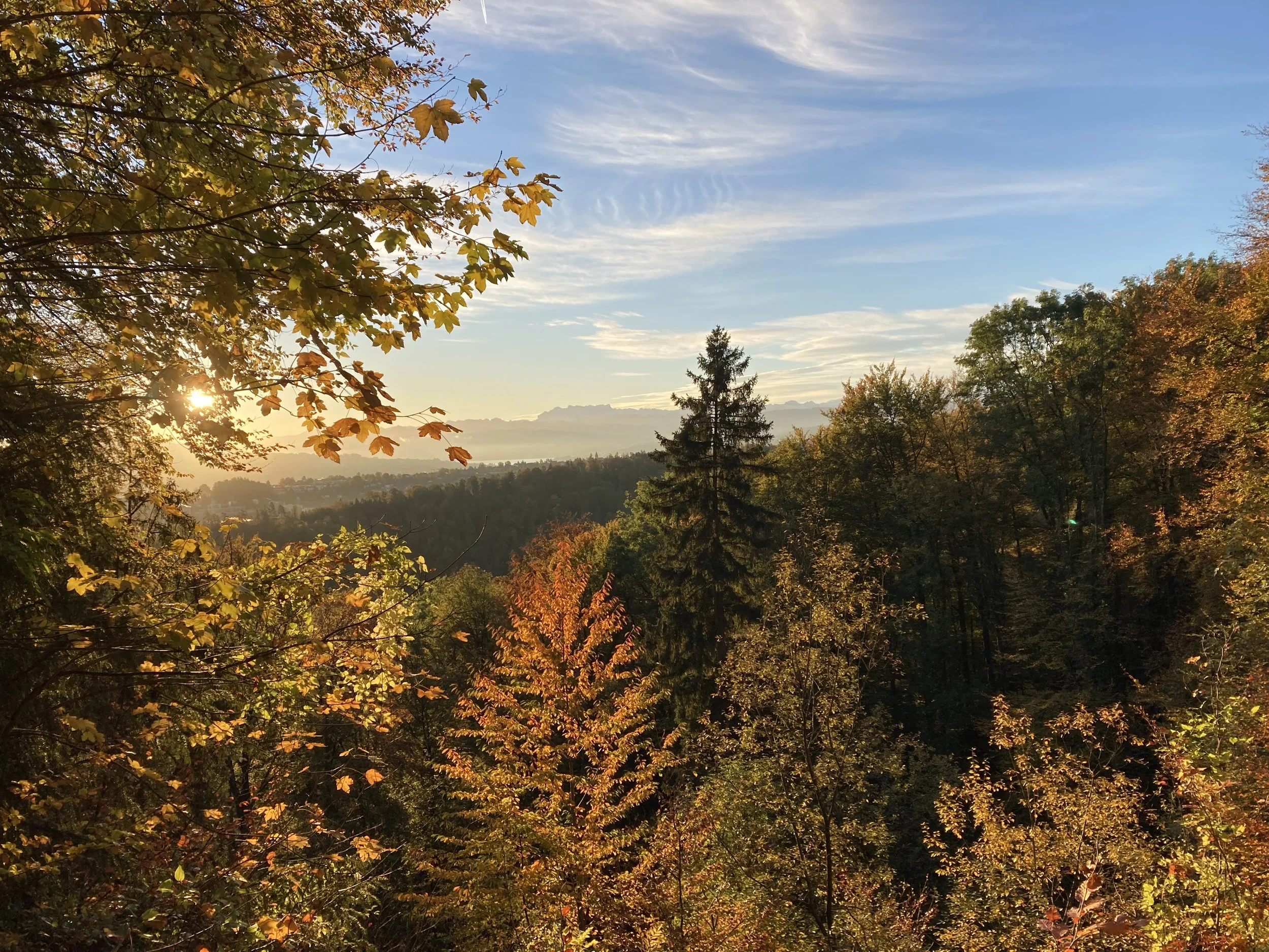 Photo of a view overlooking an autumnal forest with trees in green, brown, yellow and red colours, a lake and a mountain range on the horizon and a blue sky with scattered white clouds