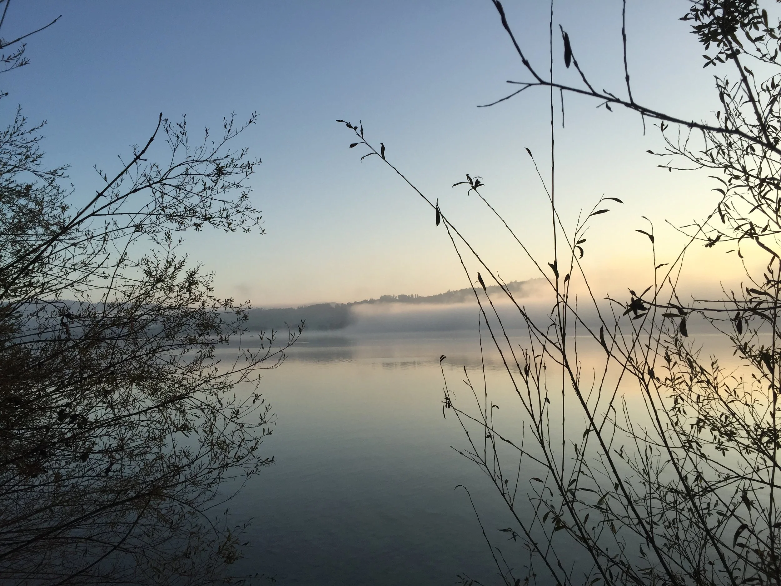 Introduction to embodied resilience (free)