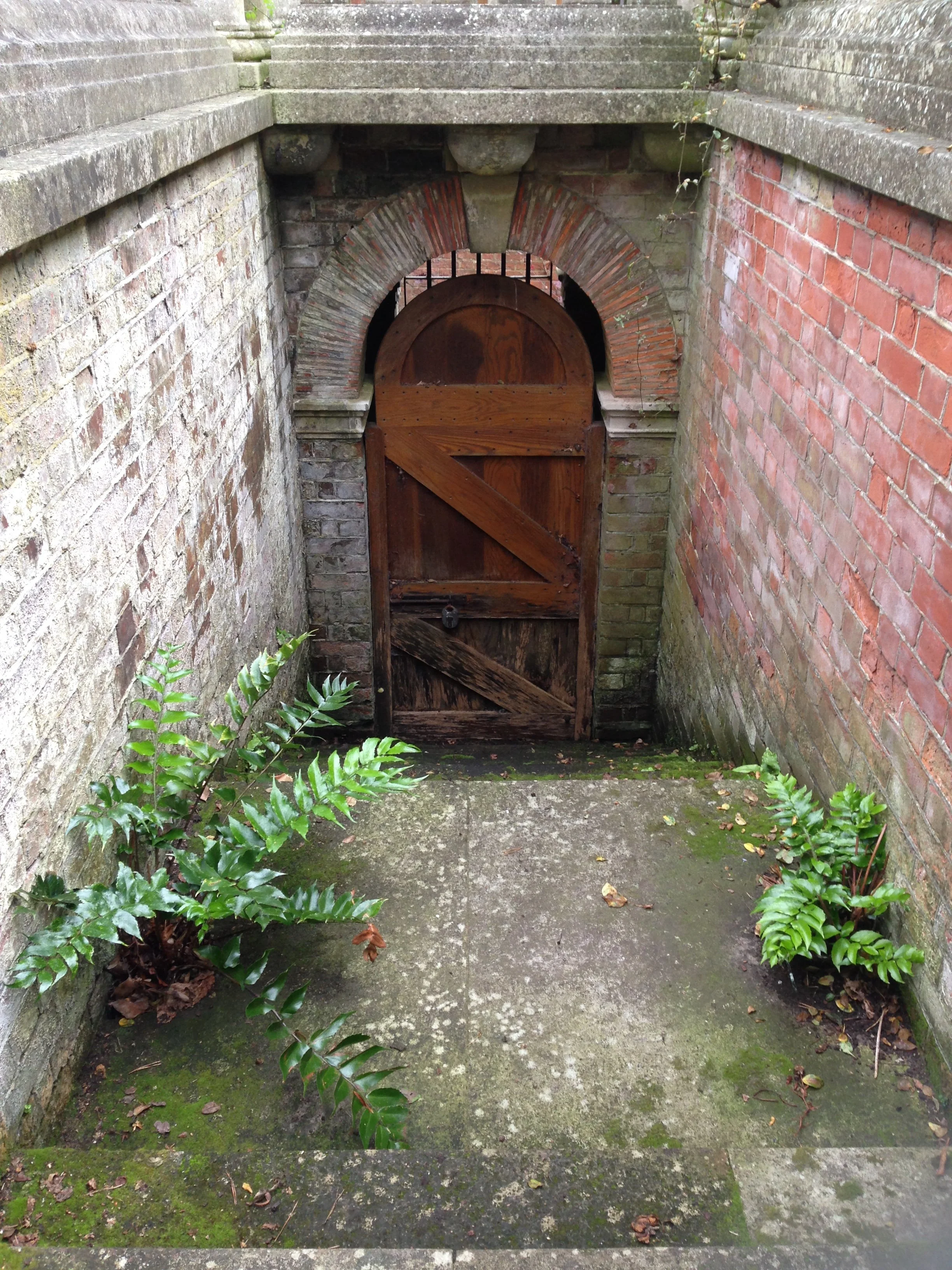Image of a concrete stairwell flanked by red brick walls leading down to a locked wooden door, with fern and moss growing on both sides of the wall