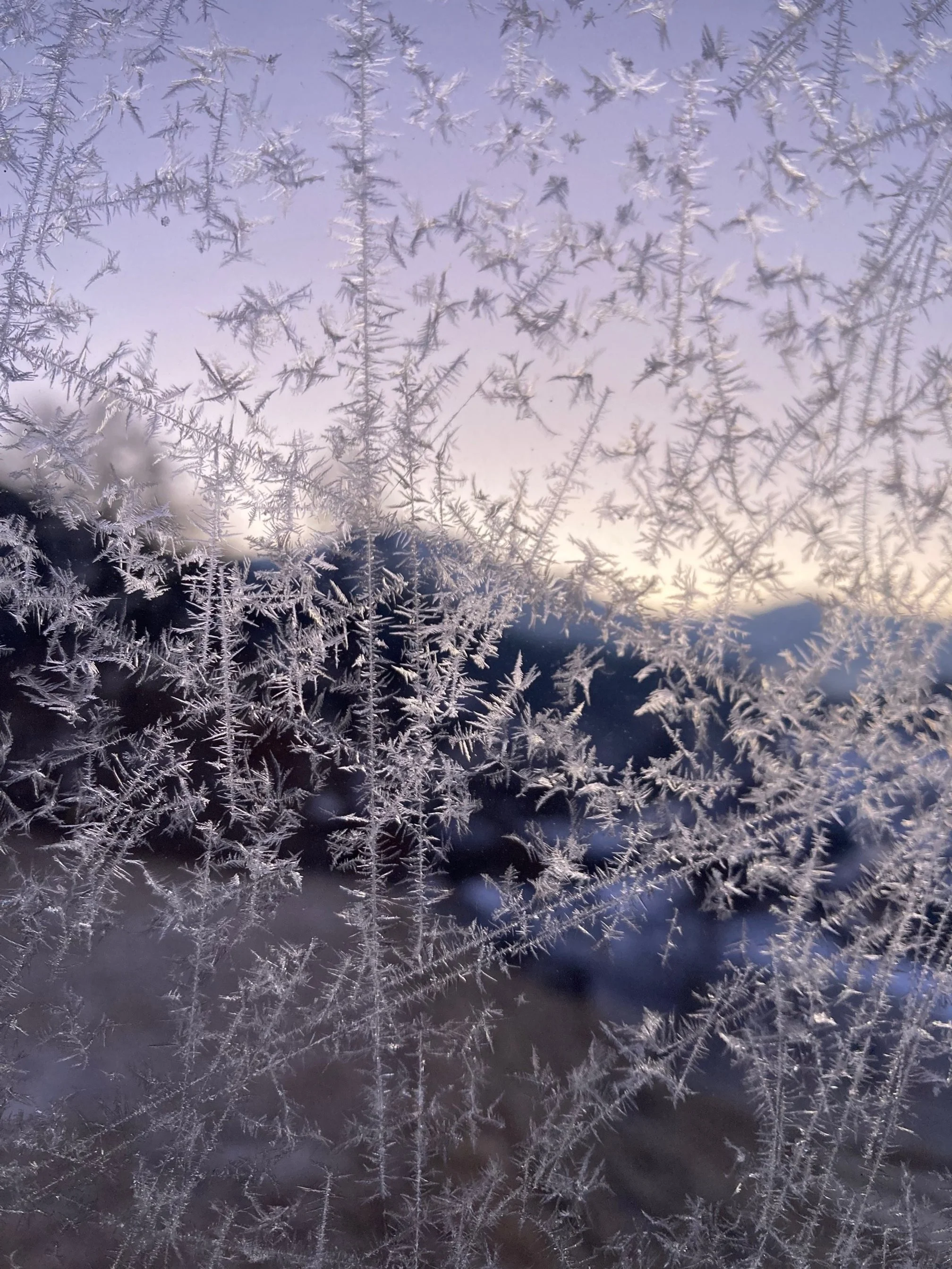 Close up photo of ice crystals on a window against a purple sky and a mountain range in the background