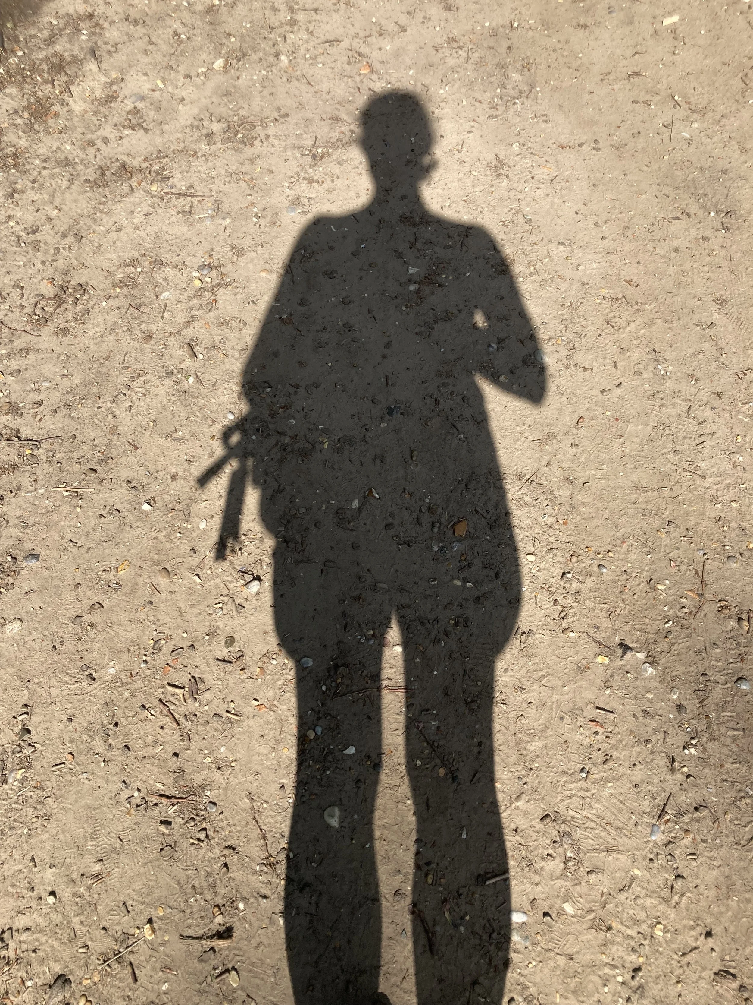 How “antagonism to vitality” is threatening our collective survival 