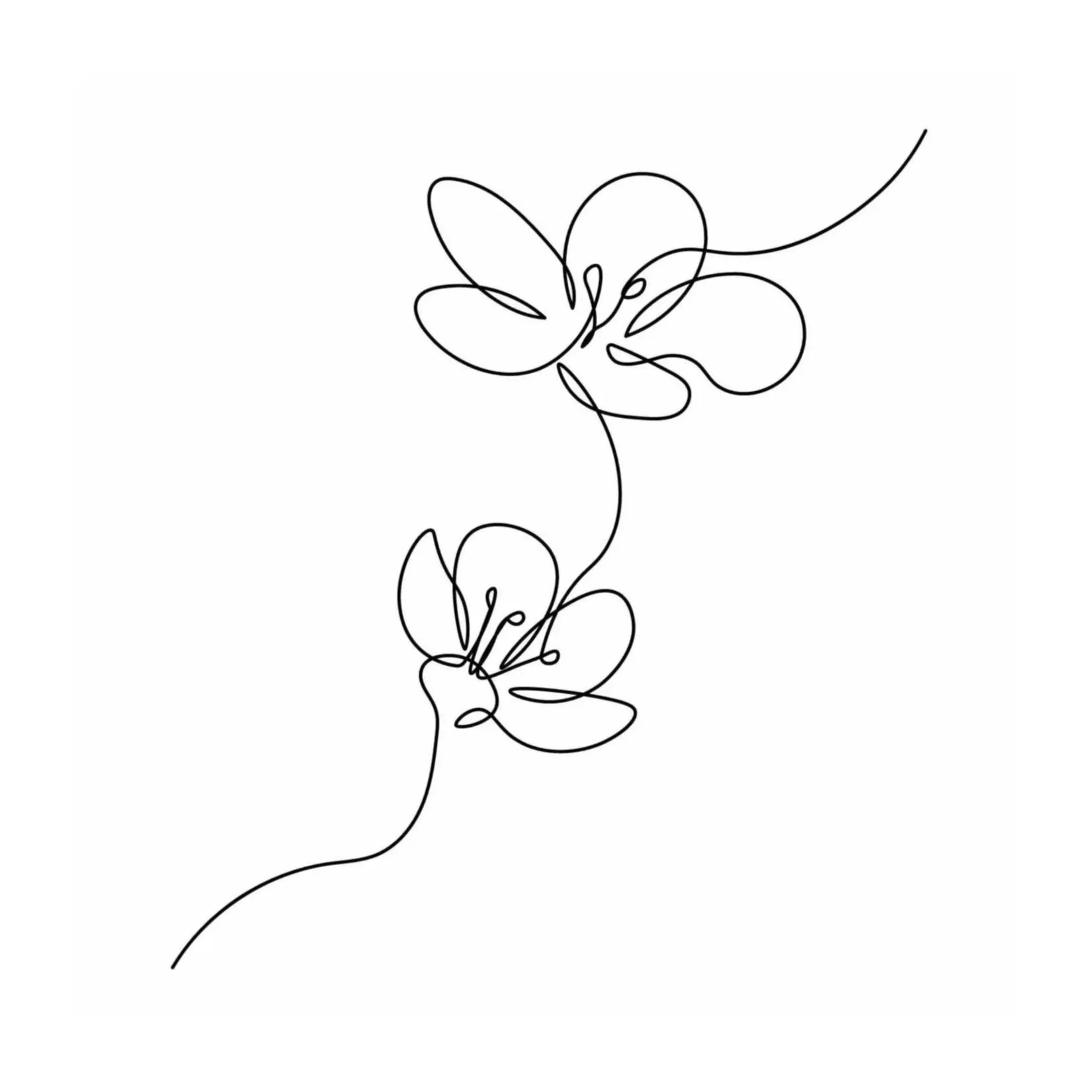 Black and white illustration of two orchids in one single line by farida89