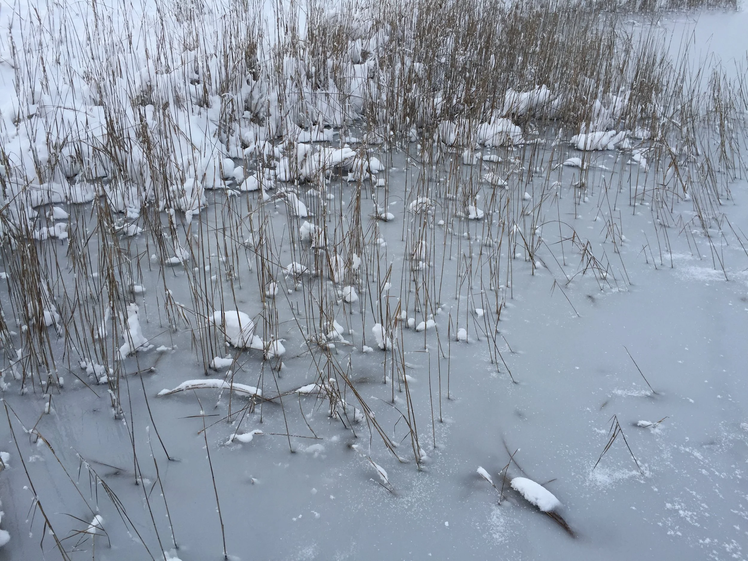 Collective numbing is a tool of domination