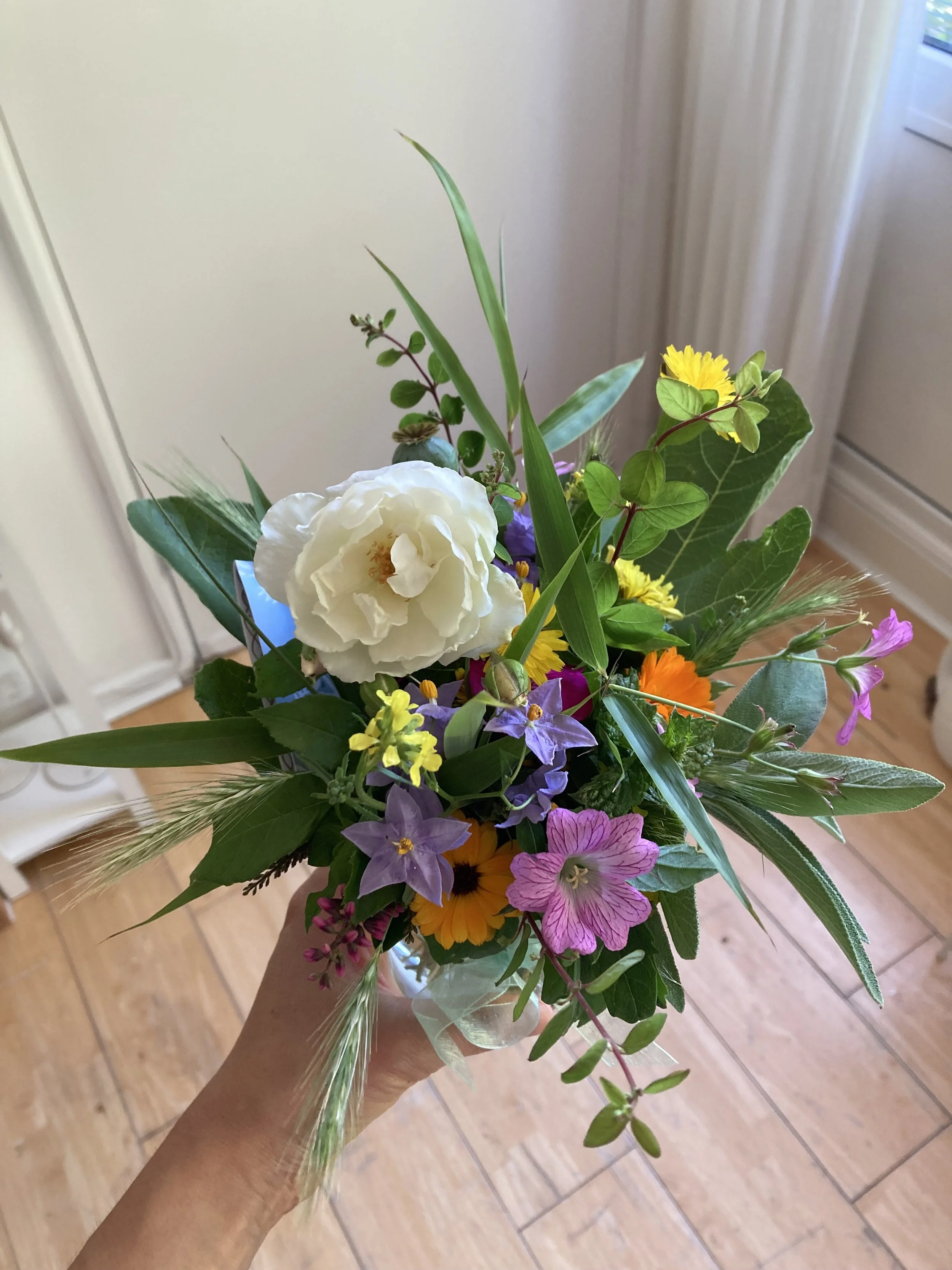 Photograph of a white hand holding a bouquet of pink, orange, yellow, purple and white flowers and green foliage above a wooden floor and white door and curtains in the background