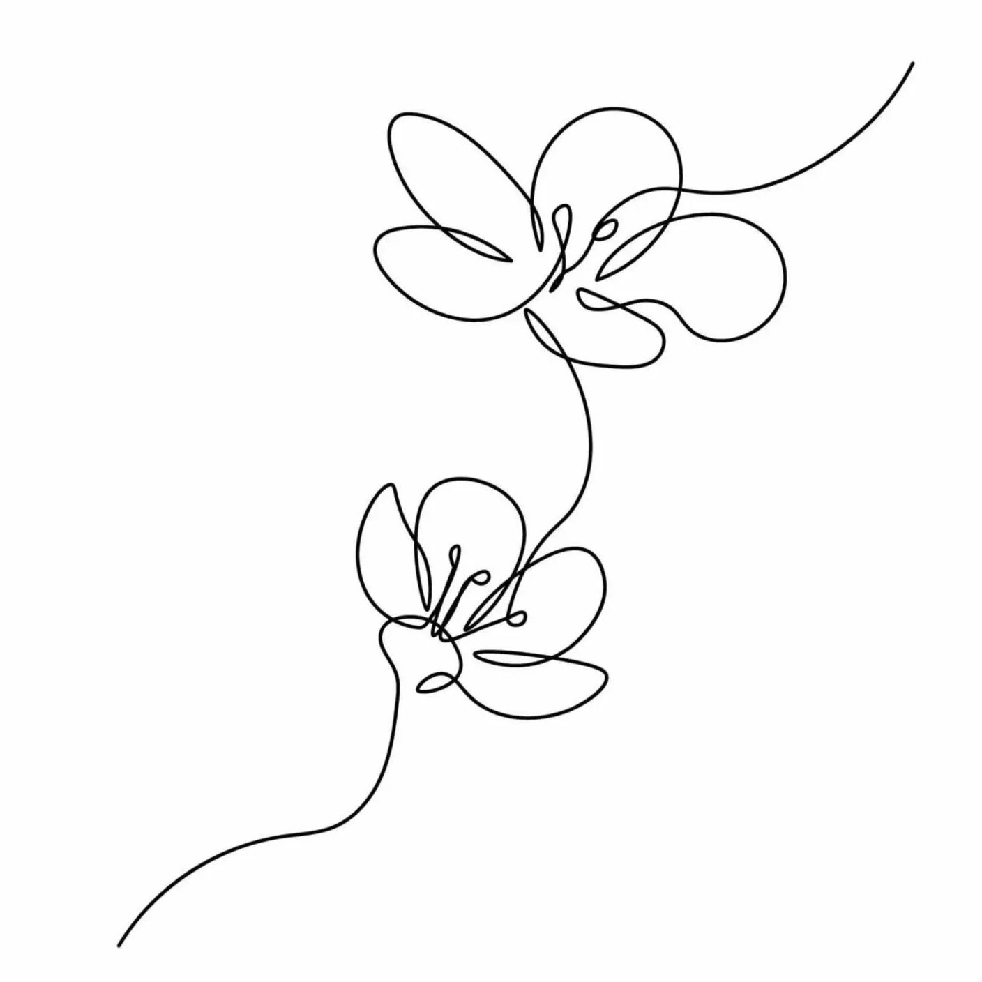 Black and white illustration of two orchids in one single line by farida89